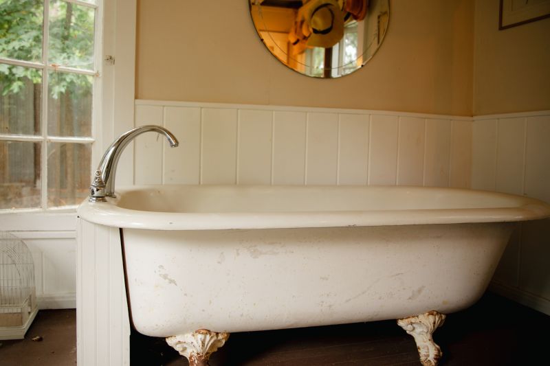 Vintage Tub with Clawfoot